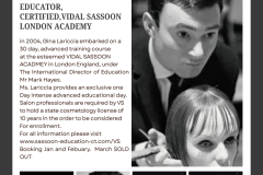 Vidal sassoon education