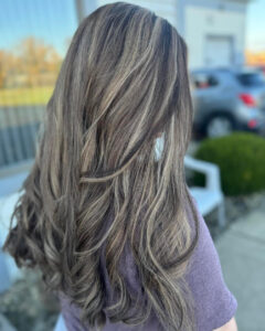 brunette highlights shelton CT
