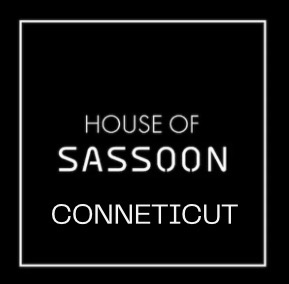 Owner Gina Lariccia Launches SASSOON EDUCATION CT For Advanced Salon Professionals